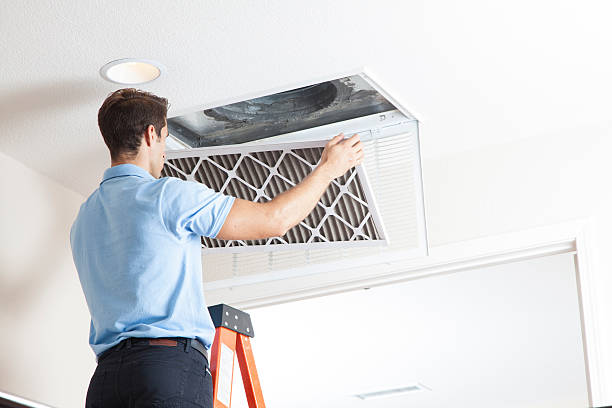 Best Air Filters and Purifiers in Eatonville, FL